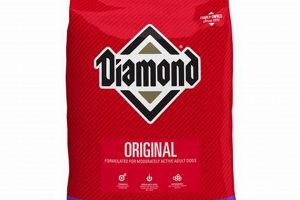 Diamond Original Dog Food: Is It Best For Your Dog? World’s Most Delicious Foods: Must-Try Dishes from Every Country Diamond Original Dog Food: Is It Best For Your Dog? | World’s Most Delicious Foods: Must-Try Dishes from Every Country