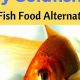 Beyond Flakes: What Else Can Goldfish Eat? (Food Guide) | World’s Most Delicious Foods: Must-Try Dishes from Every Country