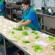 Rent a Food Truck Commissary: Kitchens &amp; More! | World’s Most Delicious Foods: Must-Try Dishes from Every Country