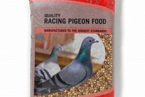 Buy Premium Pigeon Food for Sale: Best Nutrition Deals! World’s Most Delicious Foods: Must-Try Dishes from Every Country Buy Premium Pigeon Food for Sale: Best Nutrition Deals! | World’s Most Delicious Foods: Must-Try Dishes from Every Country