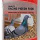 Buy Premium Pigeon Food for Sale: Best Nutrition Deals! | World’s Most Delicious Foods: Must-Try Dishes from Every Country