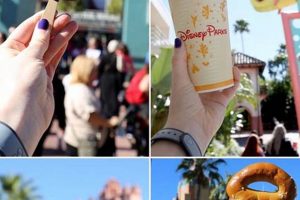 Guide to the Best Food at Hollywood Studios (2024) World’s Most Delicious Foods: Must-Try Dishes from Every Country Guide to the Best Food at Hollywood Studios (2024) | World’s Most Delicious Foods: Must-Try Dishes from Every Country
