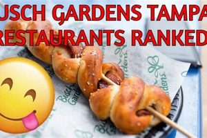 Best Food Near Busch Gardens: Your Guide + More Safem Fabrication - Precision Engineering & Custom Manufacturing Solutions Best Food Near Busch Gardens: Your Guide + More | Safem Fabrication - Precision Engineering & Custom Manufacturing Solutions