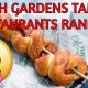 Best Food Near Busch Gardens: Your Guide + More | World’s Most Delicious Foods: Must-Try Dishes from Every Country