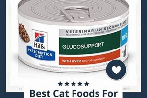 Top Rated: Best Wet Cat Food for Diabetic Cats - Reviewed World’s Most Delicious Foods: Must-Try Dishes from Every Country Top Rated: Best Wet Cat Food for Diabetic Cats - Reviewed | World’s Most Delicious Foods: Must-Try Dishes from Every Country