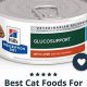Top Rated: Best Wet Cat Food for Diabetic Cats - Reviewed | World’s Most Delicious Foods: Must-Try Dishes from Every Country