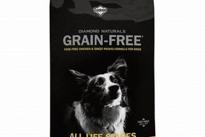 Best Diamond Grain Free Dog Food: Healthier Diet World’s Most Delicious Foods: Must-Try Dishes from Every Country Best Diamond Grain Free Dog Food: Healthier Diet | World’s Most Delicious Foods: Must-Try Dishes from Every Country