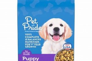 Best Pet Pride Dog Food: Fueling Canine Joy! World’s Most Delicious Foods: Must-Try Dishes from Every Country Best Pet Pride Dog Food: Fueling Canine Joy! | World’s Most Delicious Foods: Must-Try Dishes from Every Country
