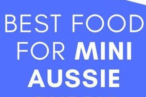 The Very Best Food for Mini Aussie Puppies & Adults Safem Fabrication - Precision Engineering & Custom Manufacturing Solutions The Very Best Food for Mini Aussie Puppies & Adults | Safem Fabrication - Precision Engineering & Custom Manufacturing Solutions