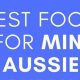The Very Best Food for Mini Aussie Puppies &amp; Adults | World’s Most Delicious Foods: Must-Try Dishes from Every Country