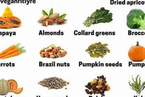 Can Indian Food Boost Hair Growth? India's Secret World’s Most Delicious Foods: Must-Try Dishes from Every Country Can Indian Food Boost Hair Growth? India's Secret | World’s Most Delicious Foods: Must-Try Dishes from Every Country