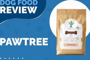 PawTree Dog Food Reviews: Is It the Best? [Year] | World’s Most Delicious Foods: Must-Try Dishes from Every Country