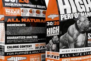 Boost Bully Performance: The Right Dog Food Formula World’s Most Delicious Foods: Must-Try Dishes from Every Country Boost Bully Performance: The Right Dog Food Formula | World’s Most Delicious Foods: Must-Try Dishes from Every Country