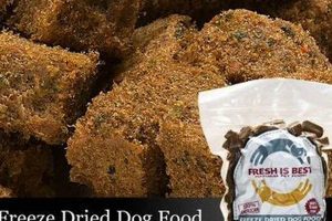 Top Picks: Best Dog Food with Turkey - Reviews & Guide World’s Most Delicious Foods: Must-Try Dishes from Every Country Top Picks: Best Dog Food with Turkey - Reviews & Guide | World’s Most Delicious Foods: Must-Try Dishes from Every Country