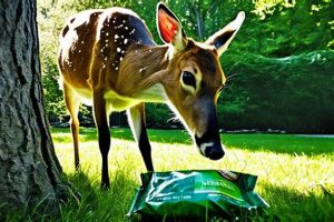 Can Deer Eat Dog Food? A Guide For Pet Owners! World’s Most Delicious Foods: Must-Try Dishes from Every Country Can Deer Eat Dog Food? A Guide For Pet Owners! | World’s Most Delicious Foods: Must-Try Dishes from Every Country
