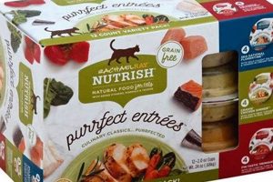 Is Rachel Ray Wet Cat Food Good? Review + Alternatives Safem Fabrication - Precision Engineering & Custom Manufacturing Solutions Is Rachel Ray Wet Cat Food Good? Review + Alternatives | Safem Fabrication - Precision Engineering & Custom Manufacturing Solutions