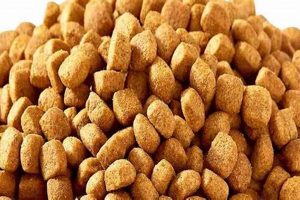 Best Large Kibble Cat Food: Dental & Digestion Tips! World’s Most Delicious Foods: Must-Try Dishes from Every Country Best Large Kibble Cat Food: Dental & Digestion Tips! | World’s Most Delicious Foods: Must-Try Dishes from Every Country