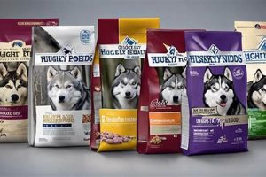 Best Dog Food for Husky: Nutrition & Diet Tips World’s Most Delicious Foods: Must-Try Dishes from Every Country Best Dog Food for Husky: Nutrition & Diet Tips | World’s Most Delicious Foods: Must-Try Dishes from Every Country