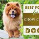 Top Rated Best Dog Food for Chow Chows: Expert Picks | World’s Most Delicious Foods: Must-Try Dishes from Every Country