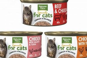 Is Natures Menu Cat Food Good? A Review + Guide World’s Most Delicious Foods: Must-Try Dishes from Every Country Is Natures Menu Cat Food Good? A Review + Guide | World’s Most Delicious Foods: Must-Try Dishes from Every Country