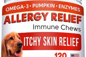 Best Dog Food Supplements for Itchy Skin: Relief Now! World’s Most Delicious Foods: Must-Try Dishes from Every Country Best Dog Food Supplements for Itchy Skin: Relief Now! | World’s Most Delicious Foods: Must-Try Dishes from Every Country