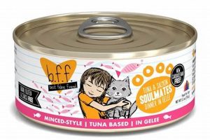 Best BFF Canned Cat Food: Reviews & Benefits Now! Safem Fabrication - Precision Engineering & Custom Manufacturing Solutions Best BFF Canned Cat Food: Reviews & Benefits Now! | Safem Fabrication - Precision Engineering & Custom Manufacturing Solutions