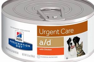 Best Urgent Care Cat Food: Recipes & Recovery World’s Most Delicious Foods: Must-Try Dishes from Every Country Best Urgent Care Cat Food: Recipes & Recovery | World’s Most Delicious Foods: Must-Try Dishes from Every Country