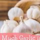 Is Garlic in Dog Food a Flea Fix? Vet Advice | World’s Most Delicious Foods: Must-Try Dishes from Every Country