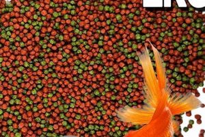 Best Fish Food Pond Pellets: Nutrition & Care Tips World’s Most Delicious Foods: Must-Try Dishes from Every Country Best Fish Food Pond Pellets: Nutrition & Care Tips | World’s Most Delicious Foods: Must-Try Dishes from Every Country