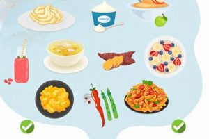 After Extraction: When Can You Eat Regular Food? Guide World’s Most Delicious Foods: Must-Try Dishes from Every Country After Extraction: When Can You Eat Regular Food? Guide | World’s Most Delicious Foods: Must-Try Dishes from Every Country