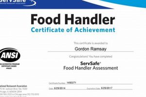 NM Food Handling License: Your Guide + Requirements World’s Most Delicious Foods: Must-Try Dishes from Every Country NM Food Handling License: Your Guide + Requirements | World’s Most Delicious Foods: Must-Try Dishes from Every Country