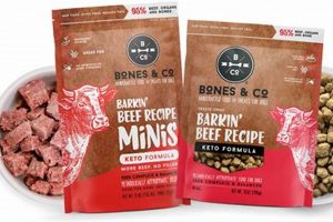 Best Bones and Co Dog Food: Reviews & Guide for Happy Dogs! | World’s Most Delicious Foods: Must-Try Dishes from Every Country
