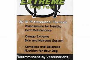 Unleash Extreme Dog Food: Fuel Your Active Dog! World’s Most Delicious Foods: Must-Try Dishes from Every Country Unleash Extreme Dog Food: Fuel Your Active Dog! | World’s Most Delicious Foods: Must-Try Dishes from Every Country