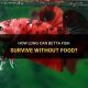 Betta Fish: How Long Can They Live Without Food? A Guide | World’s Most Delicious Foods: Must-Try Dishes from Every Country