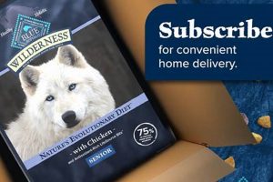 Is Blue Buffalo Senior Dog Food Review Worth It? [2024] | World’s Most Delicious Foods: Must-Try Dishes from Every Country