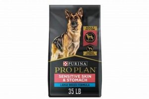 Top Picks: Best Dog Food for German Shepherds (Sensitive Stomachs) Guide World’s Most Delicious Foods: Must-Try Dishes from Every Country Top Picks: Best Dog Food for German Shepherds (Sensitive Stomachs) Guide | World’s Most Delicious Foods: Must-Try Dishes from Every Country
