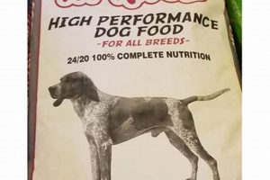 Unleash Your Dog's Rage: K9 Rage Dog Food Power! World’s Most Delicious Foods: Must-Try Dishes from Every Country Unleash Your Dog's Rage: K9 Rage Dog Food Power! | World’s Most Delicious Foods: Must-Try Dishes from Every Country