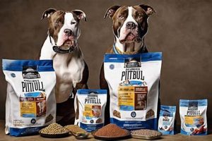Top Picks: Best Dog Food for Muscle Problems [Guide] | World’s Most Delicious Foods: Must-Try Dishes from Every Country
