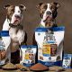 Top Picks: Best Dog Food for Muscle Problems [Guide] | World’s Most Delicious Foods: Must-Try Dishes from Every Country