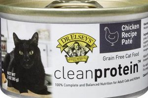 Best Cat Food: Carrageenan-Free Choices for Health World’s Most Delicious Foods: Must-Try Dishes from Every Country Best Cat Food: Carrageenan-Free Choices for Health | World’s Most Delicious Foods: Must-Try Dishes from Every Country
