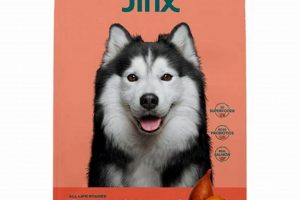 Jinx Dog Food: Is It Really Good? [Review] | World’s Most Delicious Foods: Must-Try Dishes from Every Country