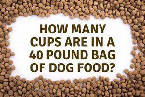 Dog Food Math: How Many Cups in a 30 lb Bag? Guide Safem Fabrication - Precision Engineering & Custom Manufacturing Solutions Dog Food Math: How Many Cups in a 30 lb Bag? Guide | Safem Fabrication - Precision Engineering & Custom Manufacturing Solutions