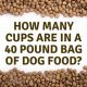 Dog Food Math: How Many Cups in a 30 lb Bag? Guide | World’s Most Delicious Foods: Must-Try Dishes from Every Country