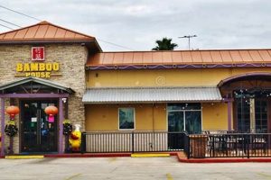 Best Chinese Food in Humble TX: Find Your Flavor! World’s Most Delicious Foods: Must-Try Dishes from Every Country Best Chinese Food in Humble TX: Find Your Flavor! | World’s Most Delicious Foods: Must-Try Dishes from Every Country