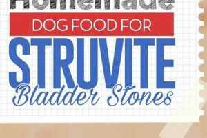Can Homemade Dog Food Cause Bladder Stones? + Prevention World’s Most Delicious Foods: Must-Try Dishes from Every Country Can Homemade Dog Food Cause Bladder Stones? + Prevention | World’s Most Delicious Foods: Must-Try Dishes from Every Country