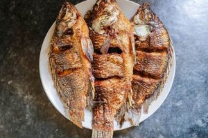 Best Tilapia Fish Food: Premium Diets & Growth Tips World’s Most Delicious Foods: Must-Try Dishes from Every Country Best Tilapia Fish Food: Premium Diets & Growth Tips | World’s Most Delicious Foods: Must-Try Dishes from Every Country