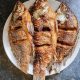 Best Tilapia Fish Food: Premium Diets & Growth Tips | World’s Most Delicious Foods: Must-Try Dishes from Every Country