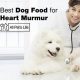 Top Rated: Best Dog Food for Senior Dogs with Heart Murmur - Guide | World’s Most Delicious Foods: Must-Try Dishes from Every Country