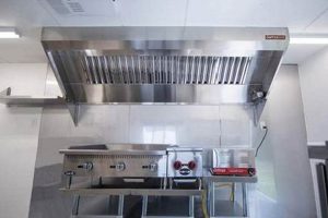 Complete Guide: Food Truck Hood System Install & Maint Tips World’s Most Delicious Foods: Must-Try Dishes from Every Country Complete Guide: Food Truck Hood System Install & Maint Tips | World’s Most Delicious Foods: Must-Try Dishes from Every Country