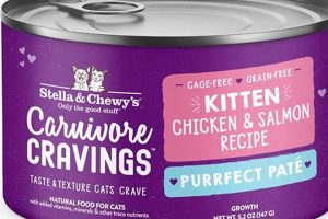 Why Choose Stella & Chewy Wet Cat Food? + Benefits! World’s Most Delicious Foods: Must-Try Dishes from Every Country Why Choose Stella & Chewy Wet Cat Food? + Benefits! | World’s Most Delicious Foods: Must-Try Dishes from Every Country